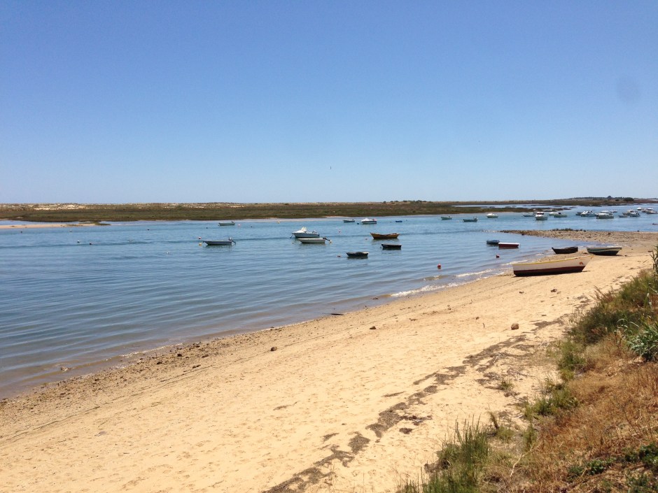 Estuary between the ocean and the Forte